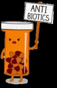 probioticos-6